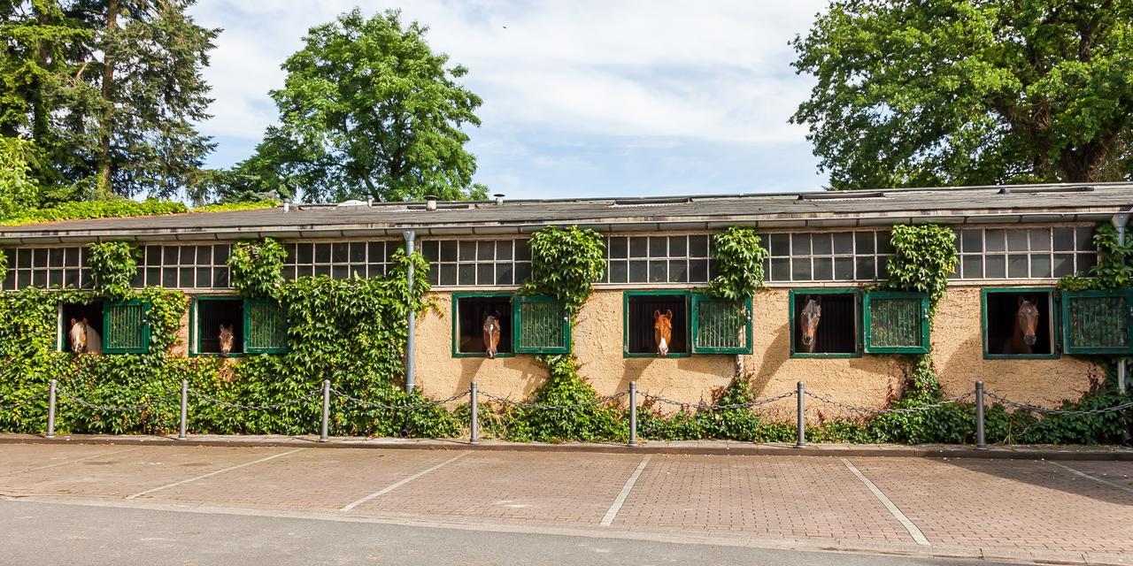 Gaestehaus Schloss Bothmer Hotel Schwarmstedt Exterior photo